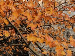 -天津东丽湖风景区