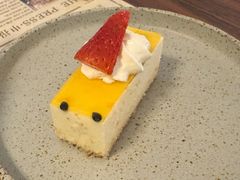 -THE PRESS(申报馆店)