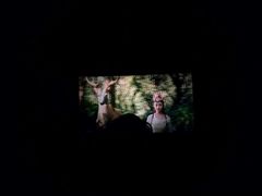 -奥斯卡升龙国际影城(RealD Cinema)