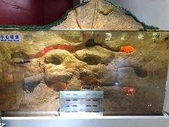 -上海昆虫博物馆