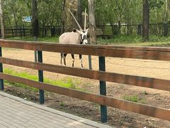 -大连森林动物园