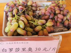 -白鹿原葡萄主题公园