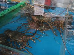 -四川小胡子海鲜(丁村万人海鲜广场店)