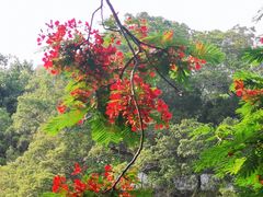 -东山湖公园