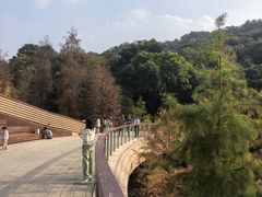 -云溪植物园