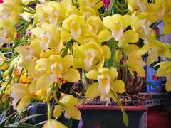 -三旗百汇商品城