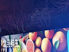 -盒马鲜生(杭州运河上街店)