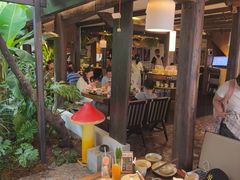 -菌自由丨野生菌火锅特色庭院餐厅(丽江古城店)