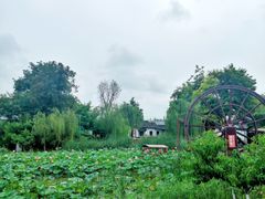 -茯茶镇