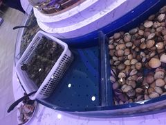 -澜悦港海鲜体验主题餐厅