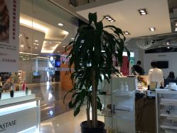 前台-ace hair salon top 无痕接发