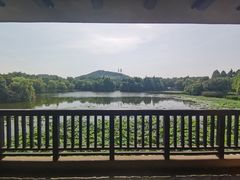 -良渚君澜度假酒店·中餐厅
