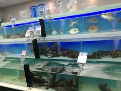 -盒马鲜生(宝地店)