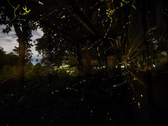 -福建鲤鱼洲酒店