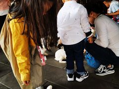 -哈尔滨波塞冬海底世界