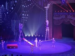 -珠海横琴长隆《卡卡虎奇遇记》