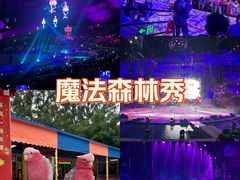 -广州长隆国际大马戏
