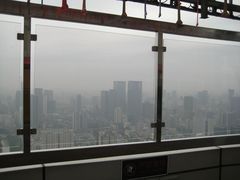 -339旋转餐厅(天府熊猫塔店)