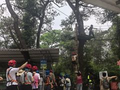 -芦仙山景区-飞越丛林探险乐园