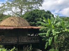 -海南槟榔谷黎苗文化旅游区