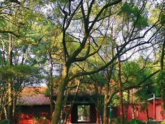 -南岳衡山风景名胜区-南岳大庙