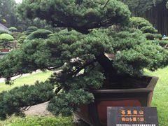 -水绘园