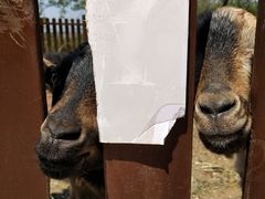 -清风小镇闯关东影视基地