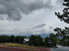 -富田农场