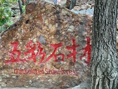 -山叶口景区