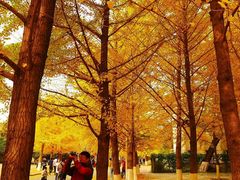 -辽宁大学(崇山校区)