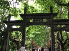 -杭州黄龙洞