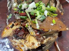 -风鑫铃罗非鱼(道沟店)