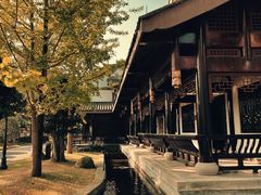 -乐山乌木文化博览苑