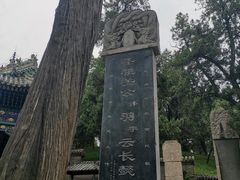 -关林