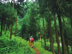 -西岭雪山大飞水景区
