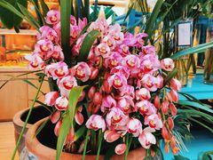 -BoBloom花店(晶耀前滩店)