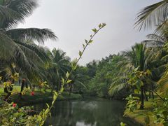 -白沙门生态公园