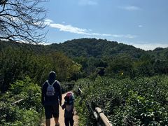 -南北湖风景区