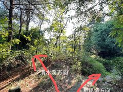 -南山植物园