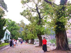 -龙环葡韵住宅式博物馆