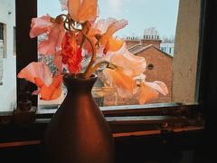 -滇野云南野生菌餐厅(陕西南路店)