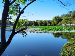 -长春市南湖公园