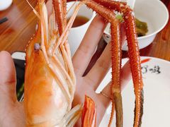 -顺德了能馆(虎门店)