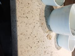 -东园小馆·早茶·淮扬小炒(江都路店)