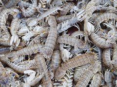 -东戴河风景区-止锚湾