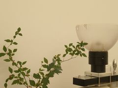 -Onirii Coffee(长乐路店)