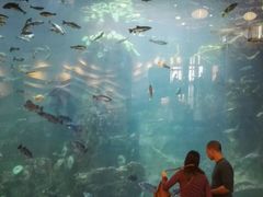 -西雅图水族馆