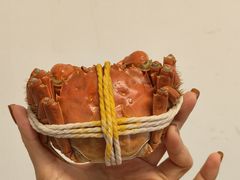 -阳澄湖大闸蟹·琼灵阁牌品牌连锁(吴中总店)