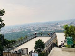 -紫金山山顶公园