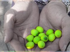 -韶山毛泽东同志故居